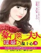 暖婚:豪門第一夫人