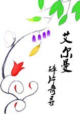 艾爾曼:碎片奇尋