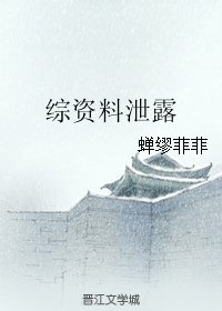 (綜同人)綜資料洩露