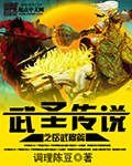 武聖傳說之嶽武穆篇