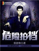 危險拍檔