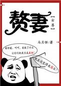贅妻(女尊)