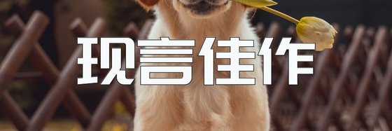 現言佳作&火爆的15本作品