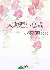 大助理小總裁