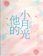 他的小月光