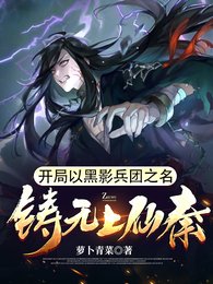 開局以黑影兵團之名,鑄無上仙秦
