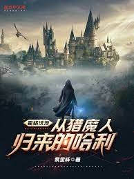 (HP同人)霍格沃茨:從獵魔人歸來的哈利