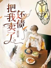把我賣了還債