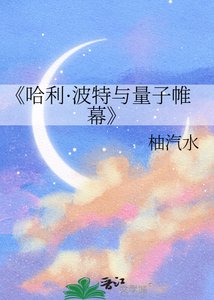 哈利·波特與量子帷幕
